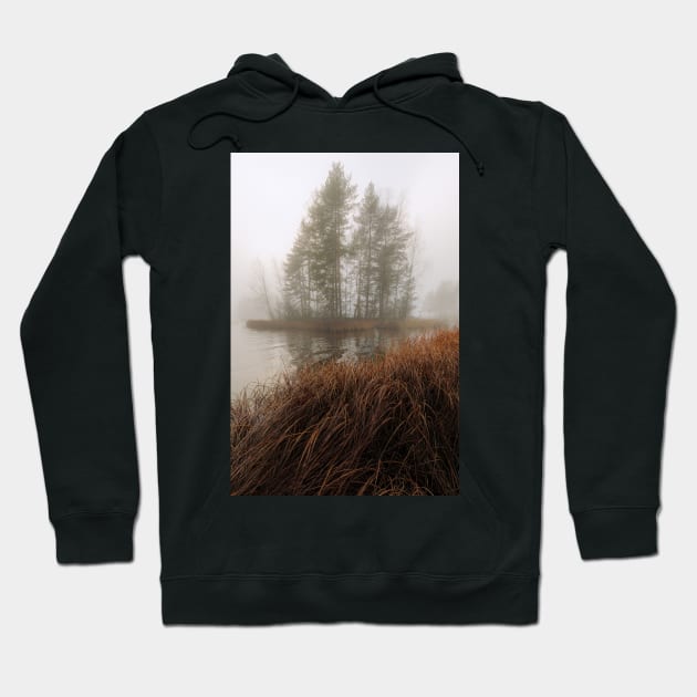 Foggy lake and small island Hoodie by Juhku